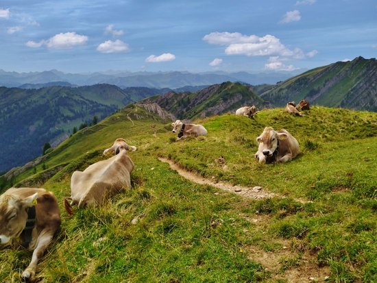 Enjoying nature: Bayerischer Hof in Oberstaufen