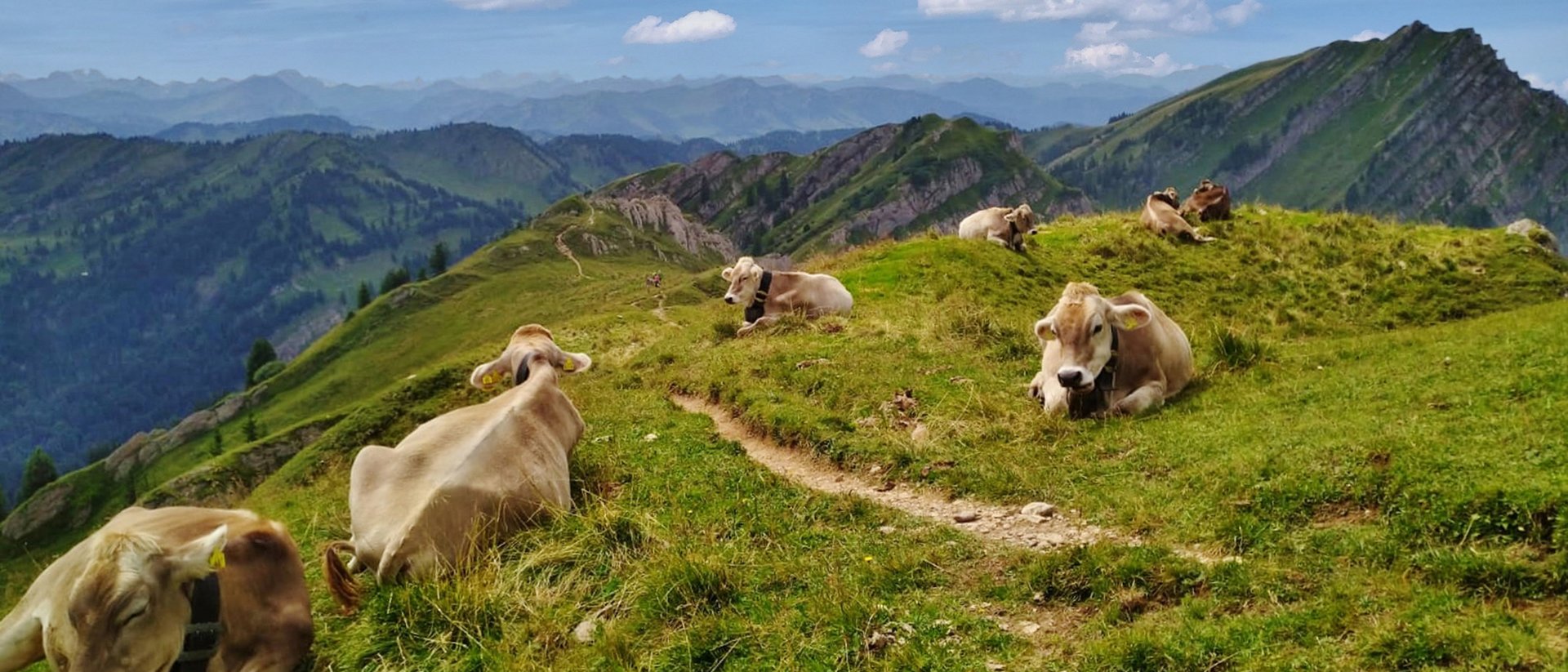 Enjoying nature: Bayerischer Hof in Oberstaufen