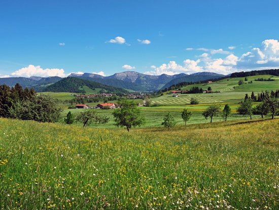 Enjoying nature: Bayerischer Hof in Oberstaufen