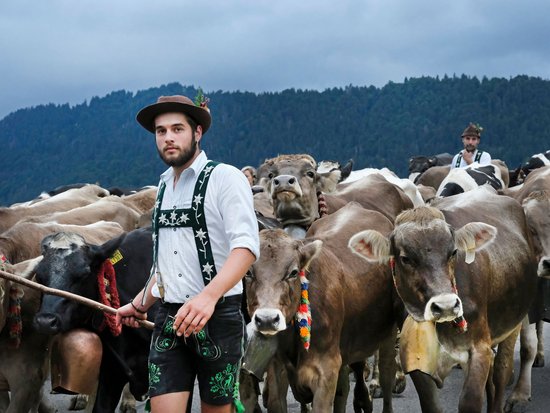 Enjoying nature: Bayerischer Hof in Oberstaufen