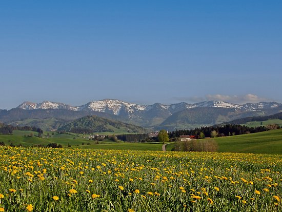 Enjoying nature: Bayerischer Hof in Oberstaufen