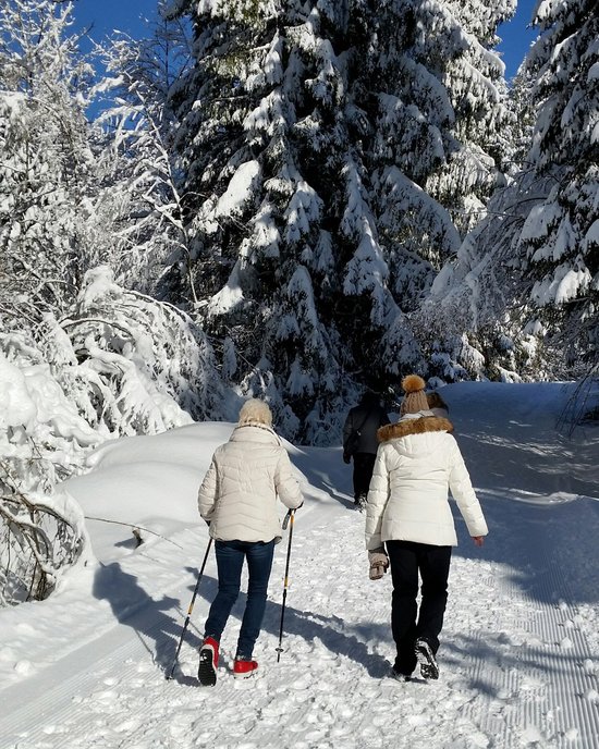 Menschen wandern auf schneebedecktem Waldweg unter sonnigem Himmel