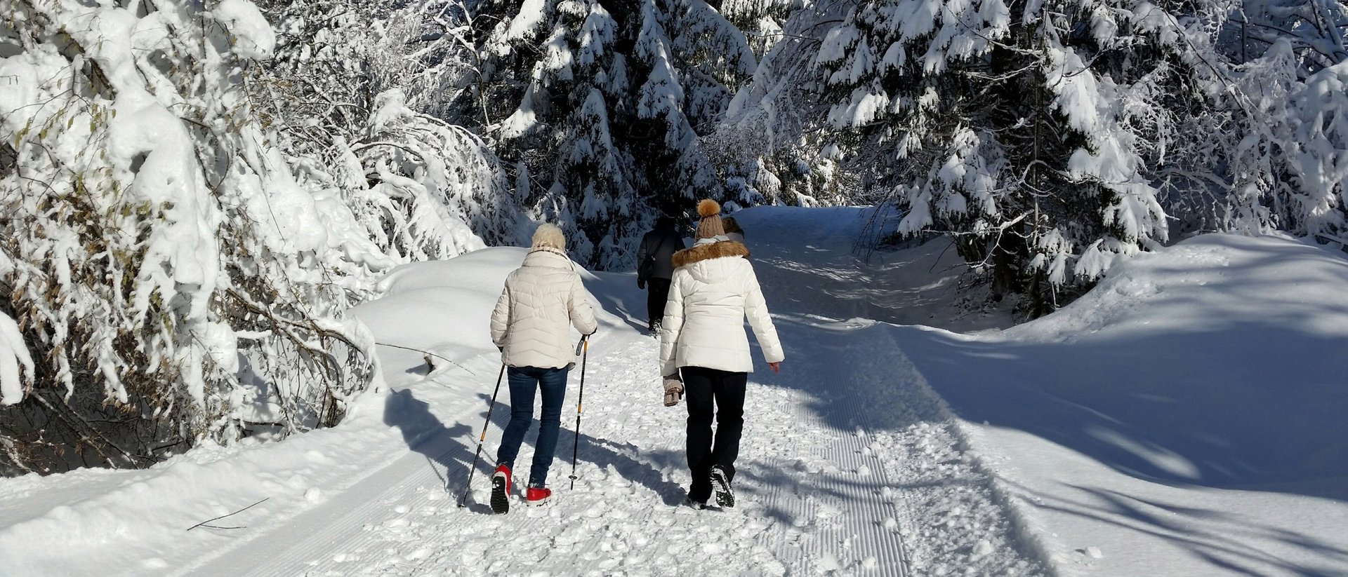 Premium hiking area Oberstaufen: Our tips!
