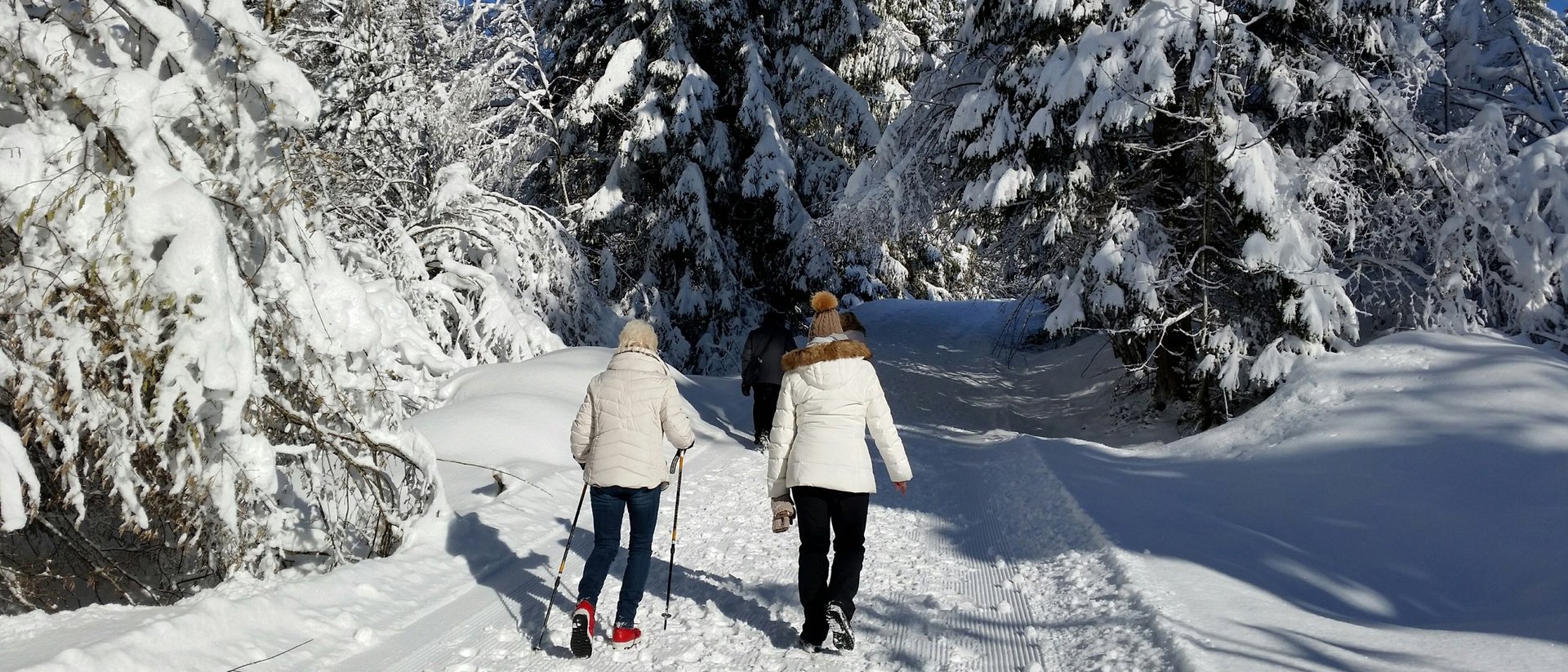 Aktivitäten im Winter