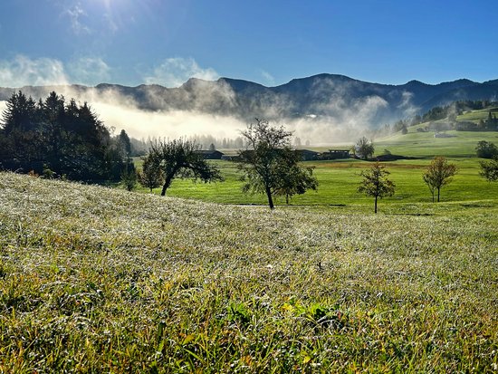 Enjoying nature: Bayerischer Hof in Oberstaufen