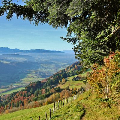 Naturgenuss: Der Bayerische Hof in Oberstaufen