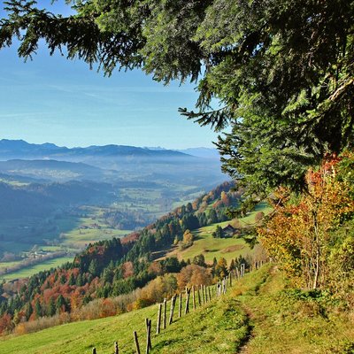 Enjoying nature: Bayerischer Hof in Oberstaufen