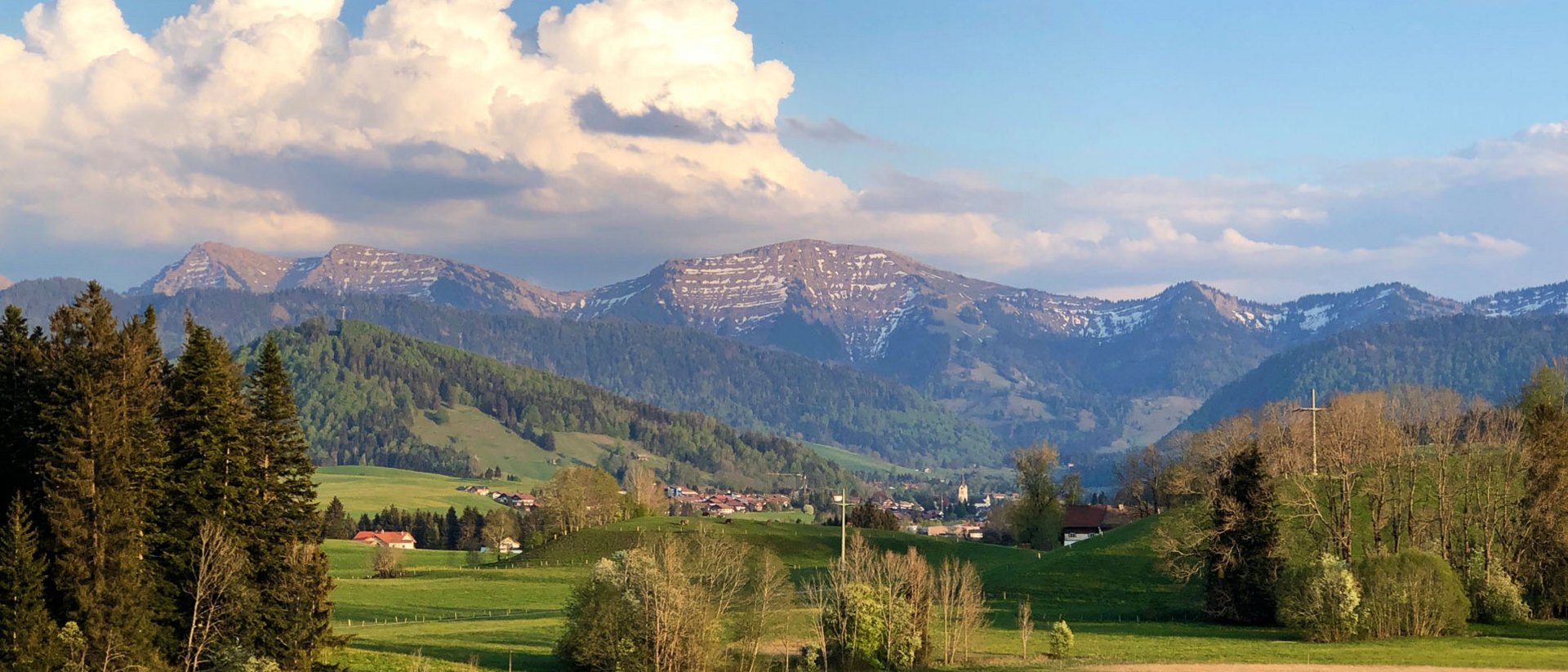 Grüne Wiesen mit Bäumen und verschneiten Bergen im Hintergrund unter blauem Himmel