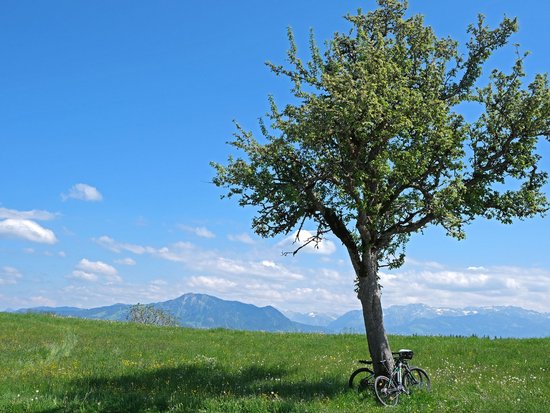 E-Biken im Allgäu